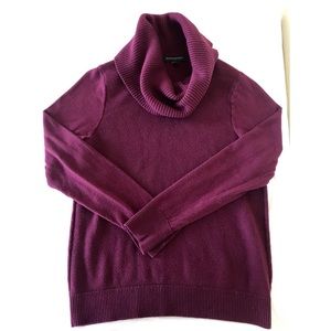 Purple Roll Neck Banana Republic Sweater